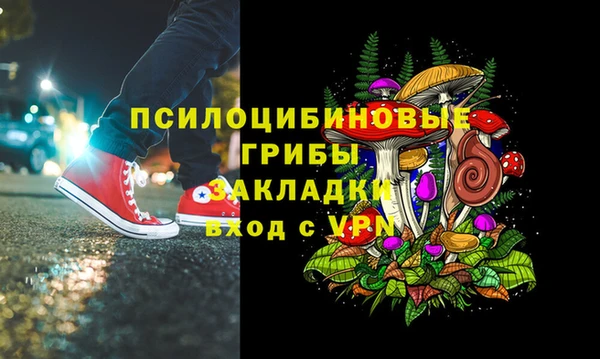 марки lsd Богданович